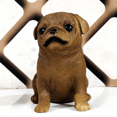 Sawcart Beautiful Cute Brown Puppy...